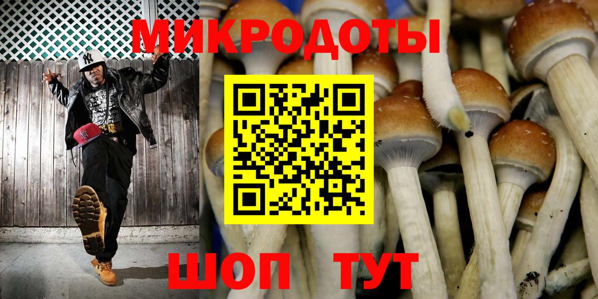 Галлюциногенные грибы Psilocybe Краснотурьинск
