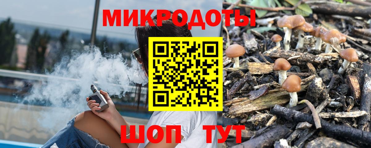 Краснотурьинск  Псилоцибиновые грибы MAGIC MUSHROOMS  Вход с VPN 